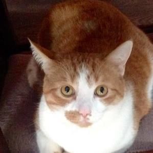 Meet your Posher, Zaby